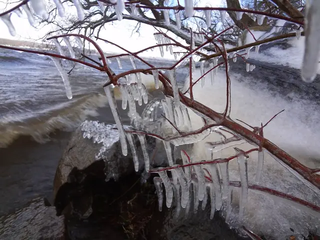Exploring Lowering Boiling Points in Watery Mixtures