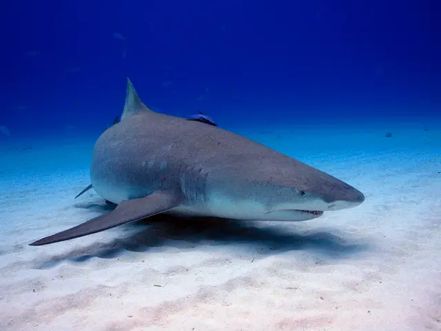 A individual initially contracts a scarcely occurring illness, subsequently diagnosed with cancer.