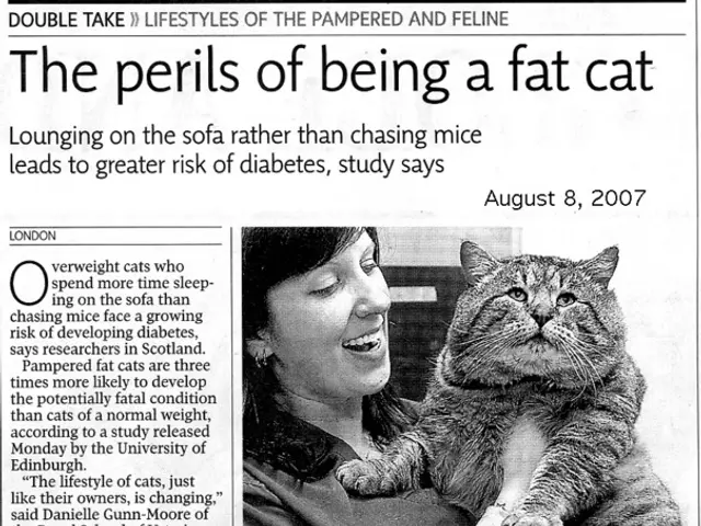 New COVID-19 cases reported at 6714 by RKI, with case incidence dropping to 64.5