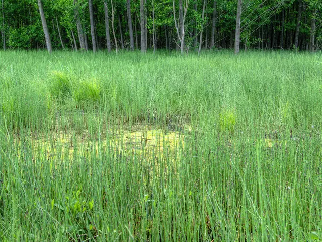 Top Trends: Data News Digest