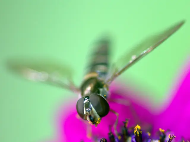 Allergy season kicks off with sneezing and congestion for numerous residents in Kentucky, ranking...