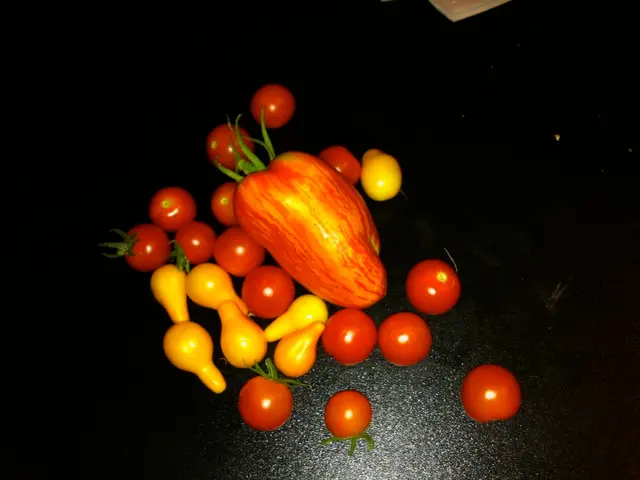 Unconventional Fruits and Brain-Boosting Longevity: Insight into Unexplored Nutritional Wonders