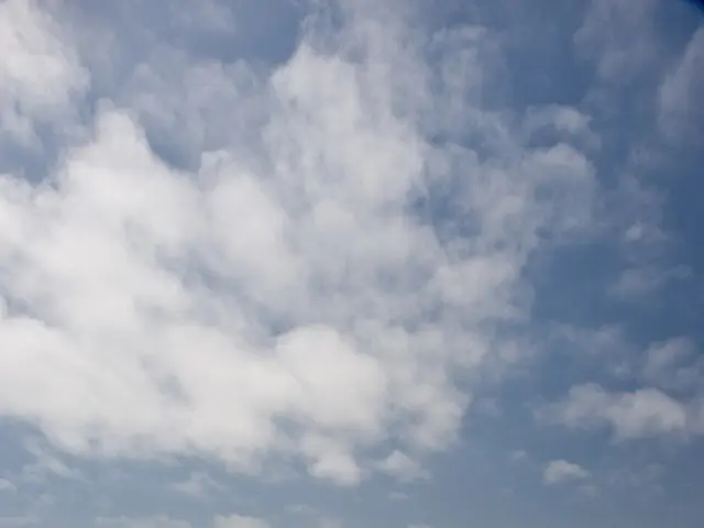 In this image we can see a woman standing and wearing a handbag, there is water and sky with...