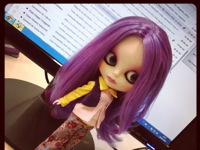 In this picture I can see there is a doll placed in front of the monitor and it is looking at right...