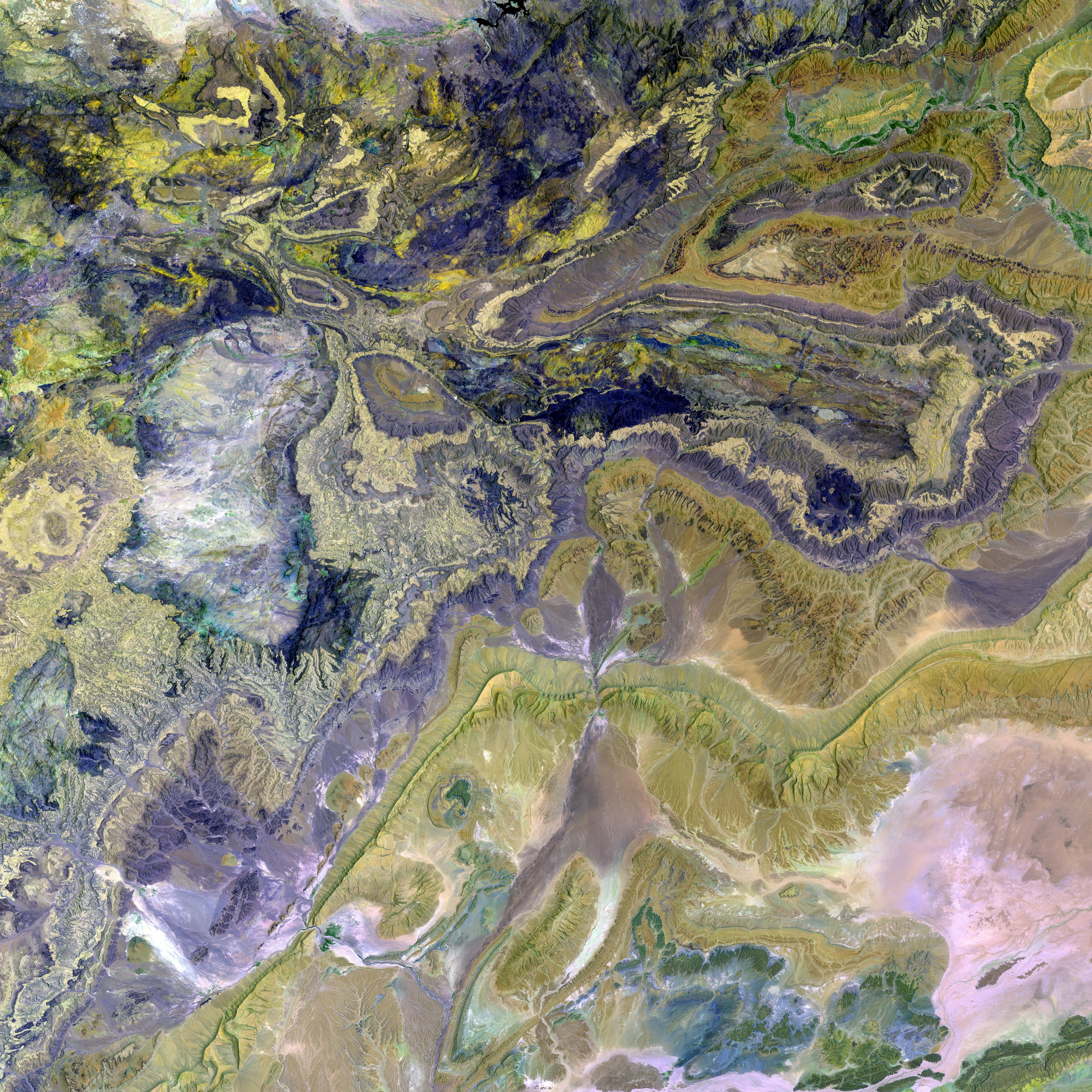 Unveiled Photograph: Dmitry Vereshchagin/Shutterstock (Walker)